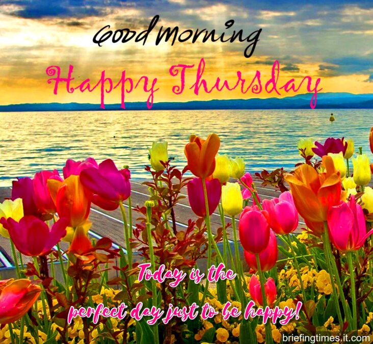 “Good Morning Happy Thursday: A New Week Begins with Positivity and Joy” olivia rodrigo boyfriend